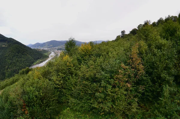 Fragmento Del Terreno Montañoso Los Cárpatos Ucrania Bosque Perdonado Por — Foto de Stock