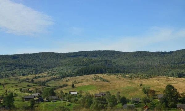 Foto Der Karpaten Die Viele Nadelbäume Haben Wald Und Berglandschaft — Stockfoto