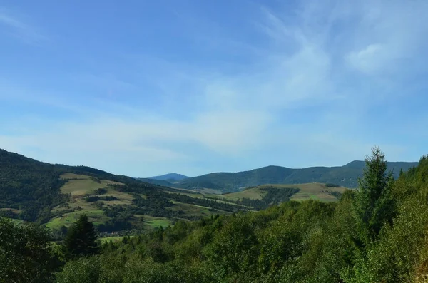 Fragment Den Bergiga Terrängen Karpaterna Ukraina Skogen Förlåten Relieferna Karpaterna — Stockfoto