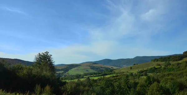 Fragmento Del Terreno Montañoso Los Cárpatos Ucrania Bosque Perdonado Por —  Fotos de Stock