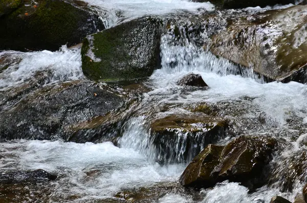 Imagem Close Uma Pequena Cachoeira Selvagem Forma Fluxos Curtos Água — Fotografia de Stock