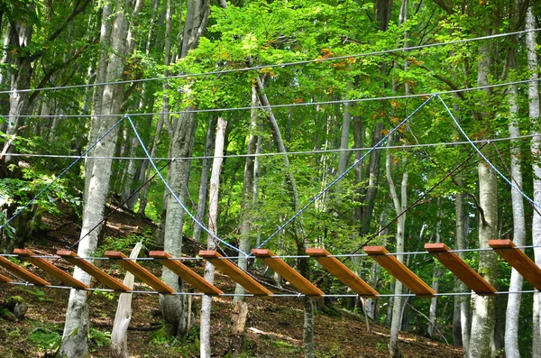 Прогулянка Дошці Розташована Лісі Основне Проектування Мотузкових Парків — стокове фото