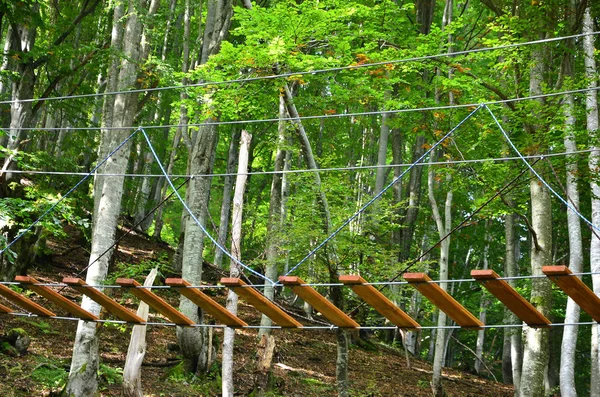 Boardwalk Located Forest Basic Design Rope Parks — Stock Photo, Image