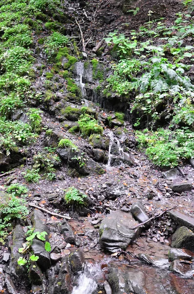 Imagem Close Uma Pequena Corrente Água Uma Área Montanhosa — Fotografia de Stock