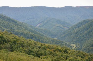 Karpatlar, Ukrayna dağlık arazide parçası. Orman Karpat Dağları kabartmaları tarafından affedilebilir olduğu