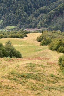 Karpatlar, Ukrayna dağlık arazide parçası. Orman Karpat Dağları kabartmaları tarafından affedilebilir olduğu