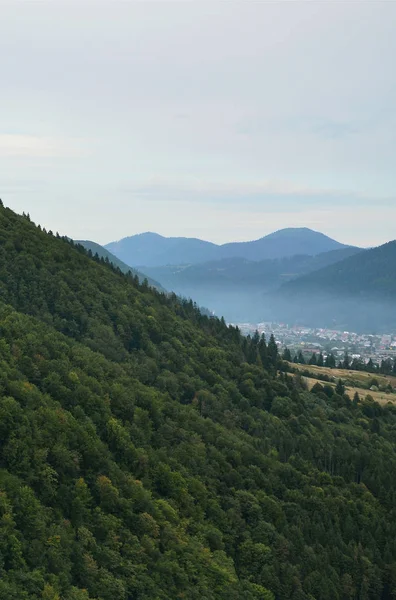 カルパチア山脈 ウクライナにおける山岳地帯のフラグメント カルパティア山脈のレリーフに森はゆるされる — ストック写真
