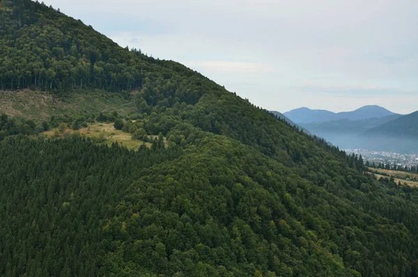 Fragment Van Het Bergachtige Terrein Karpaten Oekraïne Het Bos Vergeven — Stockfoto