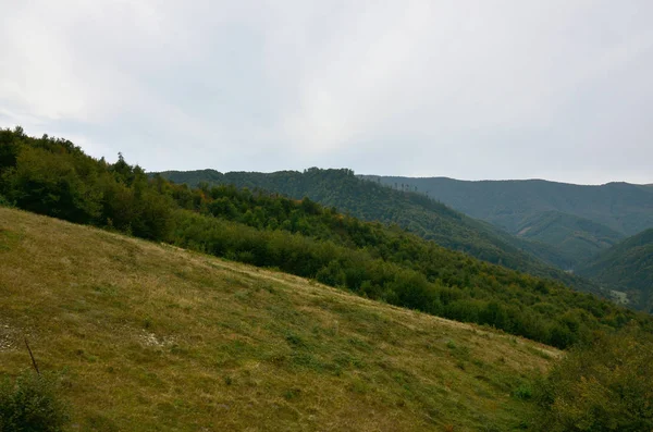 Frammento Del Terreno Montuoso Nei Carpazi Ucraina Foresta Perdonata Dai — Foto Stock