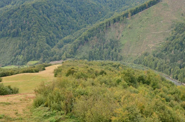 Fragment Górzysty Teren Regionie Karpaty Ukraina Las Jest Przebaczenie Przez — Zdjęcie stockowe