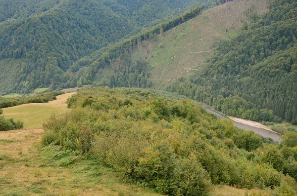 Fragment Den Bergiga Terrängen Karpaterna Ukraina Skogen Förlåten Relieferna Karpaterna — Stockfoto