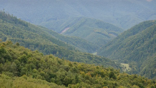 Karpatlar, Ukrayna dağlık arazide parçası. Orman Karpat Dağları kabartmaları tarafından affedilebilir olduğu
