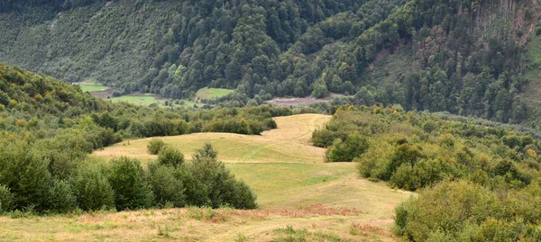 Fragmento Del Terreno Montañoso Los Cárpatos Ucrania Bosque Perdonado Por —  Fotos de Stock