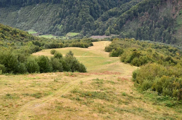 Fragment Górzysty Teren Regionie Karpaty Ukraina Las Jest Przebaczenie Przez — Zdjęcie stockowe