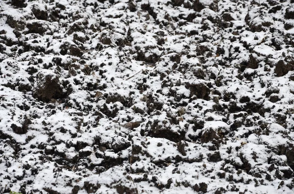 Textura Solo Coberto Com Uma Fina Camada Neve Solo Jardim — Fotografia de Stock