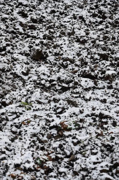 Textura Solo Coberto Com Uma Fina Camada Neve Solo Jardim — Fotografia de Stock