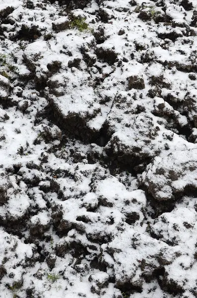 Textura Solo Coberto Com Uma Fina Camada Neve Solo Jardim — Fotografia de Stock