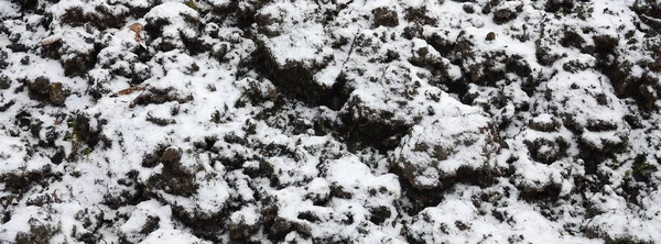 The texture of the ground, covered with a thin layer of snow. The soil of the garden in winter. The dug ground close up
