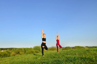 İki genç sarışın kız spor pratik yoga açık havada pitoresk bir yeşil tepenin üzerinde akşam uygun. Spor egzersiz ve sağlıklı yaşam kavramı