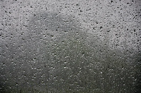 蚊帳によって保護されている 窓からすに雨の背景イメージを削除します フィールドの浅い深さとマクロ写真 — ストック写真