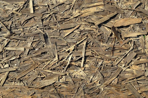 Old Osb Boards Made Brown Wood Chips Sanded Wooden Background — Stock Photo, Image