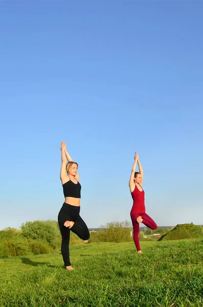 Zwei Junge Blonde Mädchen Sportanzügen Praktizieren Abends Yoga Auf Einem — Stockfoto