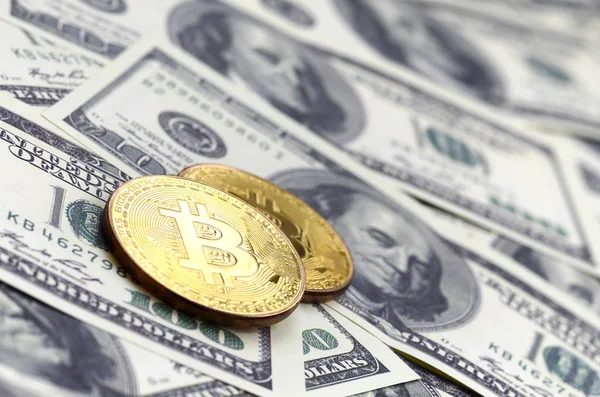Złote Bitcoiny Leżeć Wiele Dolarowych Pojęcie Podnoszenie Ceny Bitcoin Względem — Zdjęcie stockowe