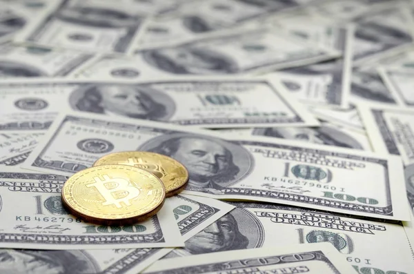 Zlatá Bitcoiny Leží Hodně Dolarových Bankovek Koncepce Zvyšování Ceny Bitcoin — Stock fotografie
