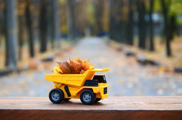 A small toy yellow truck is loaded with yellow fallen leaves. The car stands on a wooden surface against a background of a blurry autumn park. Cleaning and removal of fallen leaves. Seasonal works