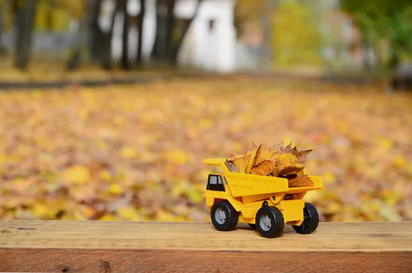 Koncepcja Sezonowych Zbiorów Jesiennych Opadłych Liści Jest Przedstawiany Postaci Ciężarówka — Zdjęcie stockowe