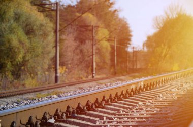 Sonbahar endüstriyel manzara. Yeşil ve sarı sonbahar ağaçları arasında mesafe içine basık demiryolu