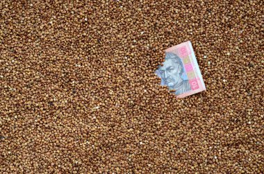 Arka plan doku buğday, aralarında bir ürün bir Ukraynalı hryvnia görebilirsiniz büyük bir yığın. Ukrayna'da hububat fiyatlarını artan kavramı