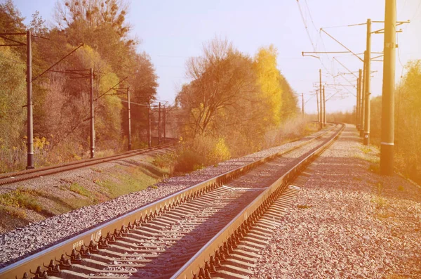 Herfst Industriële Landschap Spoorlijn Terugwijkende Verte Tussen Groene Gele Herfst — Stockfoto