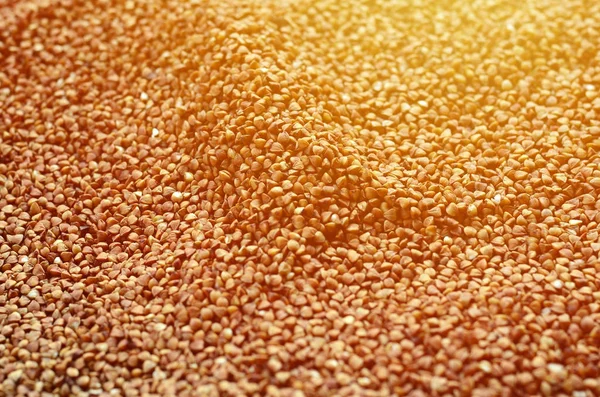 Background Texture Large Pile Buckwheat Many Buckwheat Grains Close Daylight — Stock Photo, Image