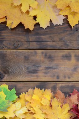 Arka plan koyu kahverengi renk doğal ahşap kurullarında yüzeyinde çok düşmüş sonbahar sararma bileşimi bırakır