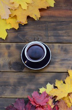 Arka plan koyu kahverengi renk doğal ahşap kurullarında yüzeyinde düşmüş sonbahar sararma kümesi arasında çay yaprakları