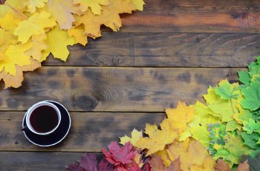 Arka plan koyu kahverengi renk doğal ahşap kurullarında yüzeyinde düşmüş sonbahar sararma kümesi arasında çay yaprakları