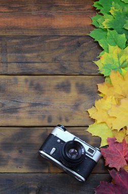 Arka plan koyu kahverengi renk doğal ahşap kurullarında yüzeyine düşen sonbahar sararma kümesi arasında eski fotoğraf makinesi bırakır