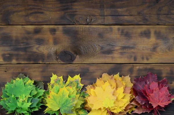 Zusammensetzung Vieler Vergilbter Herbstblätter Auf Einer Hintergrundfläche Aus Natürlichen Holzbrettern — Stockfoto