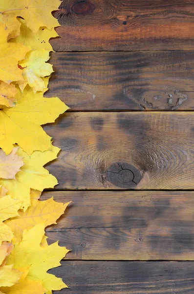 Zusammensetzung Vieler Vergilbter Herbstblätter Auf Einer Hintergrundfläche Aus Natürlichen Holzbrettern — Stockfoto