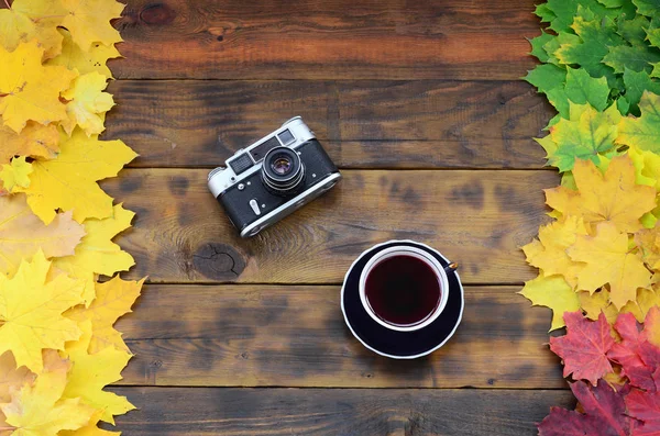 Bir fincan çay ve bir arka plan yüzeyi koyu kahverengi renk doğal ahşap kurulların düşen sonbahar yaprakları sararma kümesi arasında eski bir fotoğraf makinesi