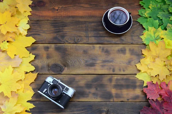 Een Kopje Thee Een Oude Camera Onder Een Aantal Gevallen — Stockfoto