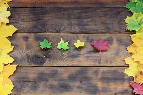 Einige Der Gelblichen Herbstblätter Verschiedenen Farben Auf Der Hintergrundoberfläche Natürlicher — Stockfoto