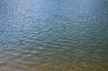 Kirli nehir su doku. Kirlilik kaynakları sonuçları