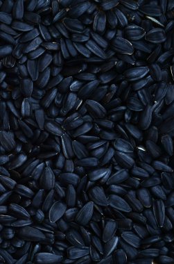 Birçok işlenmemiş kızarmış ayçiçeği çekirdeği bir siyah kabuğu bir model.