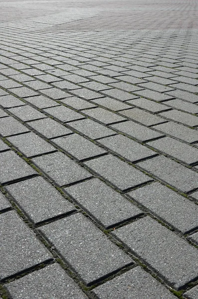 stock image A large area, covered with a quality paving stone in daylight