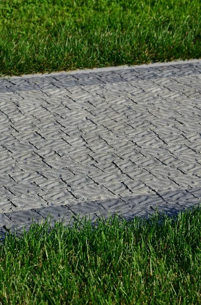 Beautiful New Walkway Made Paving Stone Located Green Grass — Stock Photo, Image