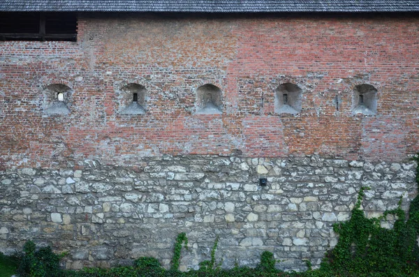 Grande Muro Pietra Antico Castello Ricoperto Rami Edera Massiccia Leopoli — Foto Stock