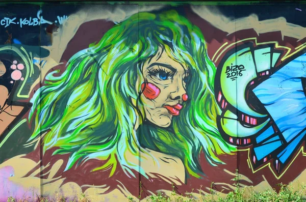 画在彩色涂鸦绘图与气溶胶油漆 一个非正式女孩的脸上的绿色茂盛的头发的形象 — 图库照片