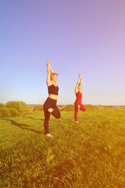 İki genç sarışın kız spor pratik yoga açık havada pitoresk bir yeşil tepenin üzerinde akşam uygun. Spor egzersiz ve sağlıklı yaşam kavramı